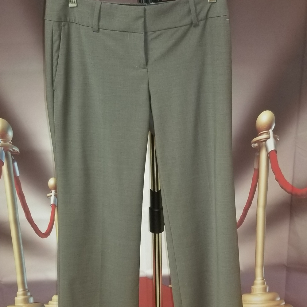 Ann Taylor pants